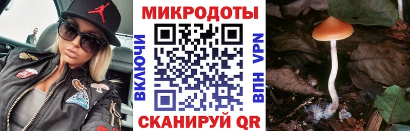 MEGA зеркало  Собинка  Галлюциногенные грибы мицелий 